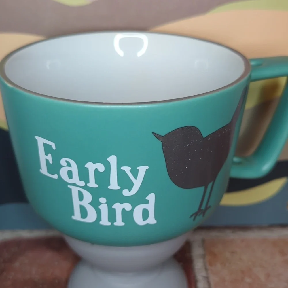 Turquoise Teal Early Bird Stoneware Wide Mouth Mug or Soup‎ Cup with Grey Bird